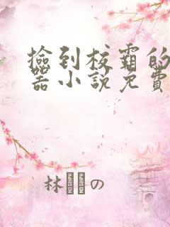 捡到校霸的遥控器小说免费阅读