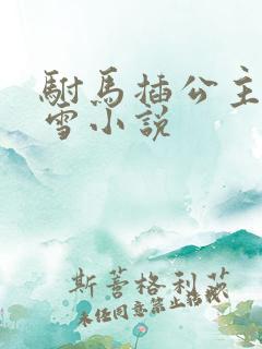 驸马插公主恋战雪小说