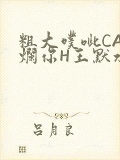 粗大噗呲CAO烂你H王默水王子