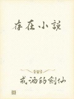 存在小说