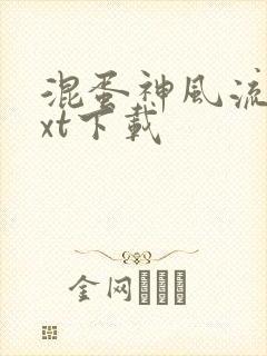 混蛋神风流史txt下载