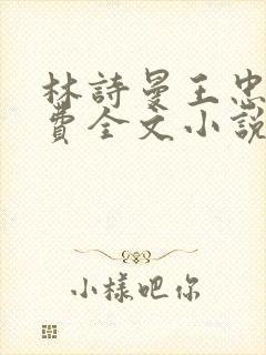 林诗曼王忠文免费全文小说的名称