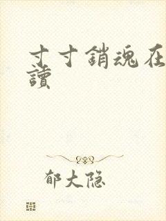 寸寸销魂在线阅读