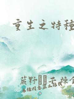 重生之特种军嫂