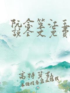 阮念笙江玉楼小说全文免费阅读