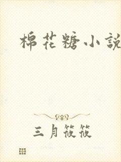 棉花糖小说下载