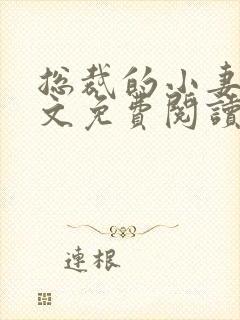 总裁的小妻子全文免费阅读