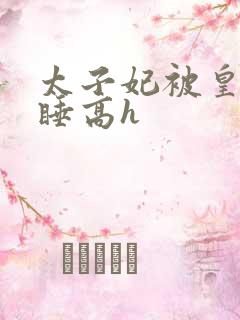 太子妃被皇上强睡高h