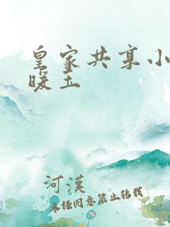 皇家共享小公主暖玉