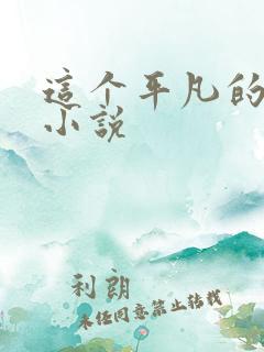 这个平凡的男子小说