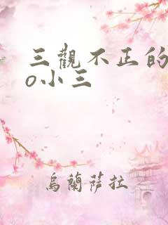 三观不正的文po小三