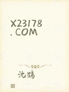 X23178 . COM