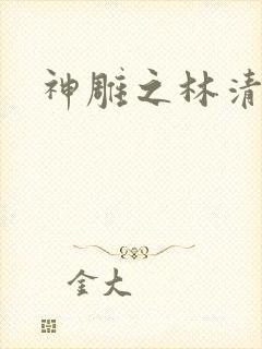 神雕之林清传