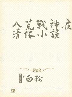 八荒战神夜麟云清依小说