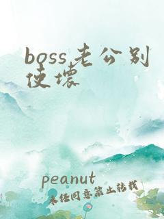 boss老公别使坏