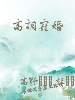 高调宠婚