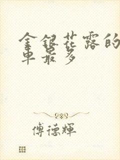 金银花露的哪个车最多