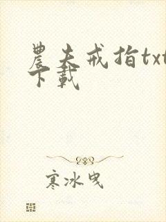 农夫戒指txt下载