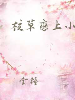 校草恋上小丫头