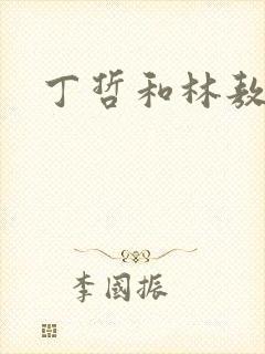 丁哲和林敖雷