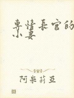 专情长官的天价小妻