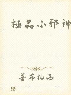 极品小邪神