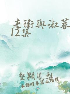 老卫与淑蓉1一12集