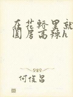 在花轿里就开始圆房高辣h