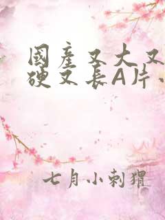 国产又大又粗又硬又长A片小说