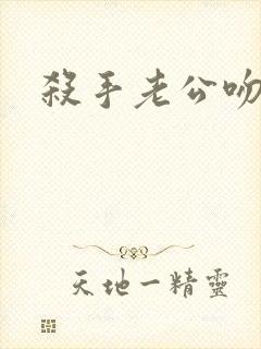 杀手老公吻上瘾