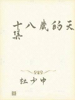 十八岁的天空续集