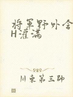 将军野外含公主H灌满