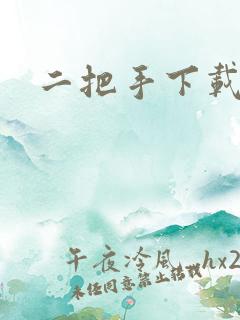 二把手下载