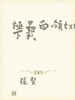 极品白领txt下载