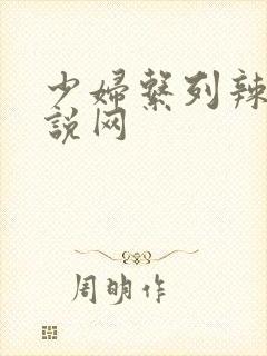 少妇系列辣文小说网