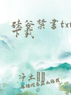 硅谷禁书txt下载