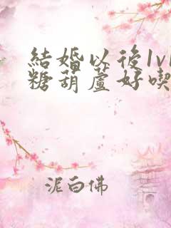 结婚以后1v1糖葫芦好吃epub