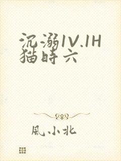 沉溺1V.1H猫时六