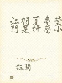 江羽夏梦莹神谕门是什么小说