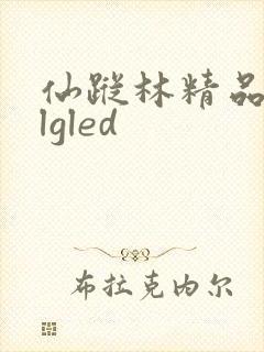 仙踪林精品zzlgled