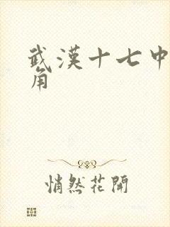 武汉十七中女主角