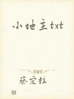小地主txt