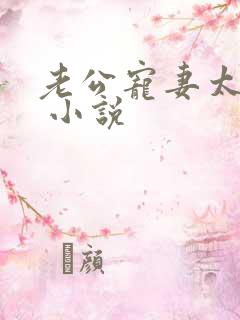 老公宠妻太甜蜜 小说