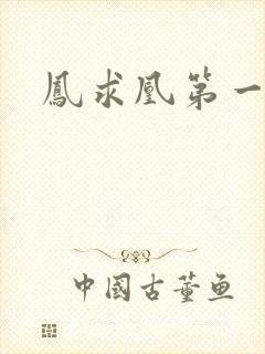 凤求凰第一皇后