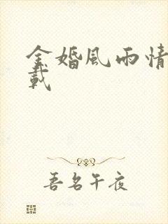 金婚风雨情 下载