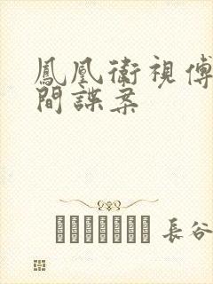 凤凰卫视傅晓田间谍案