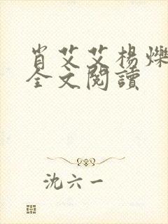 肖艾艾杨烁小说全文阅读