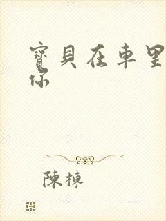 宝贝在车里想要你