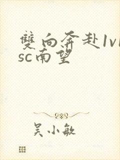 双向奔赴1v1sc南望