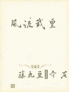 风流武皇
